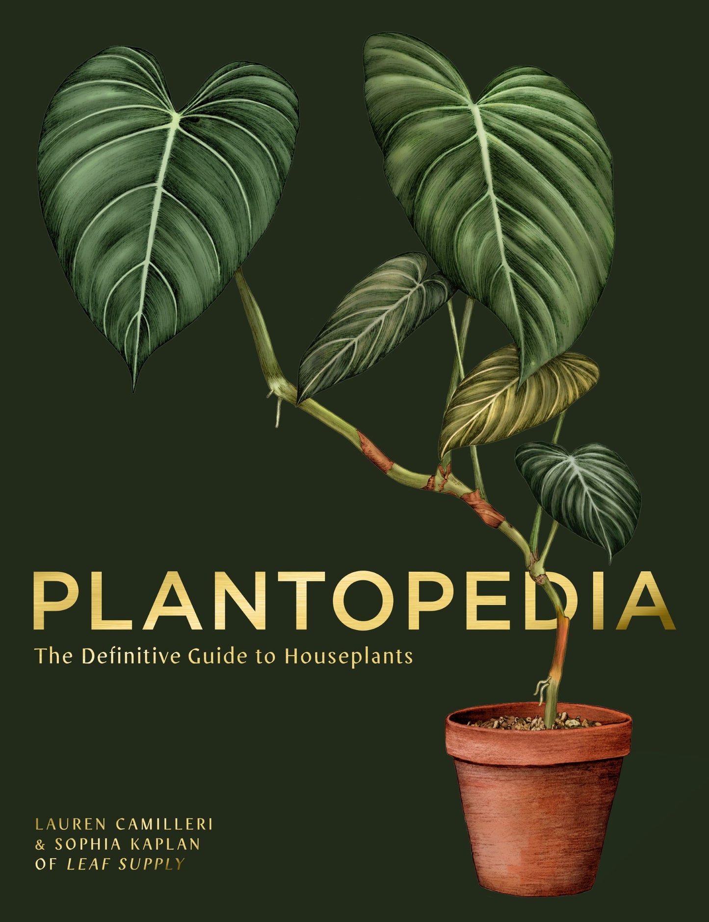 Plantopedia, The Definitive Guide to House Plants