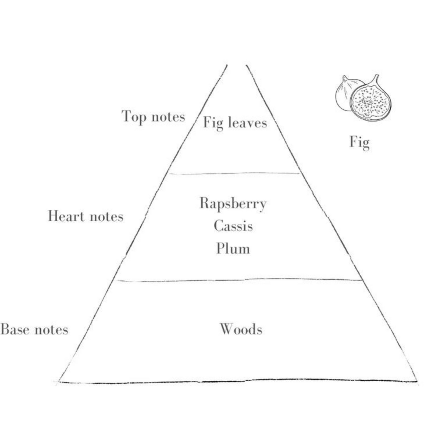 Pott Candle - Blush - Fig