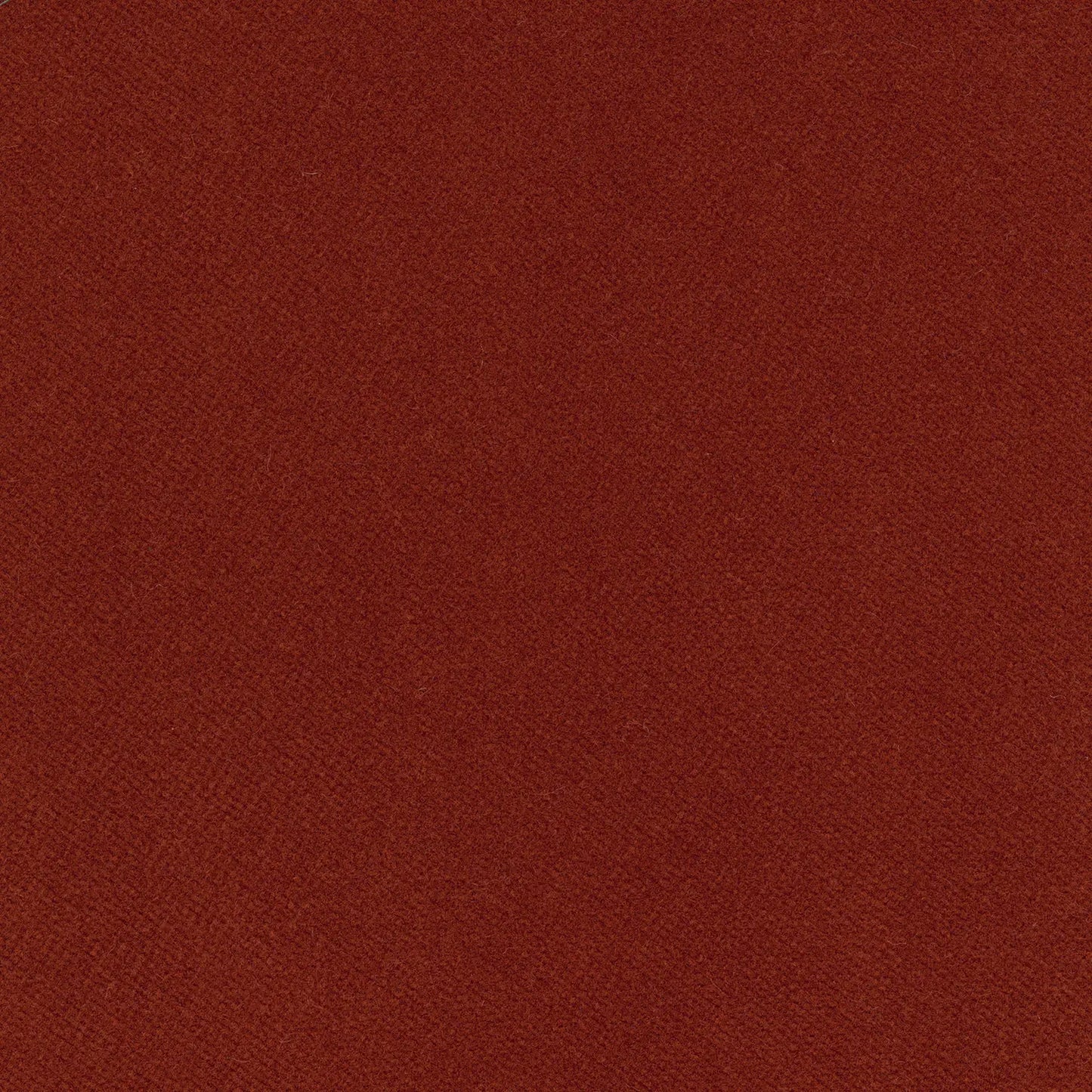Double Dutch Curtains - Soft Velvet - Cookout