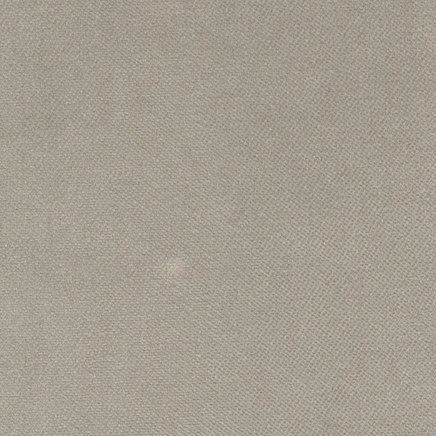 His Nibs Curtains - Soft Velvet - Cornish