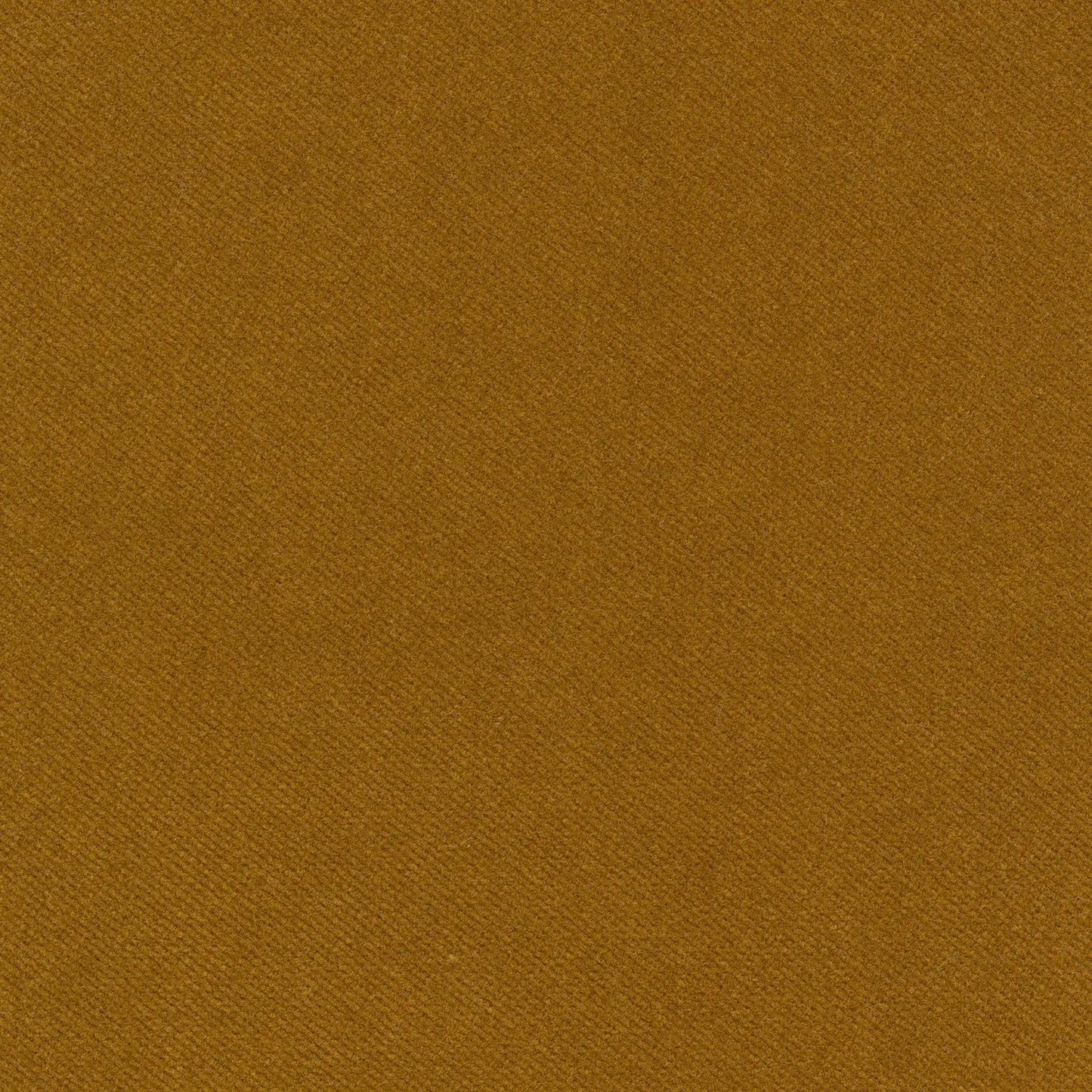 Veg Patch Curtains - Soft Velvet - Lucky Strike
