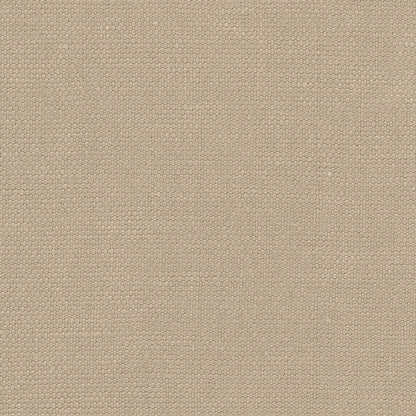 Merlin's Beard Curtains - Pure Linen - Biscotti