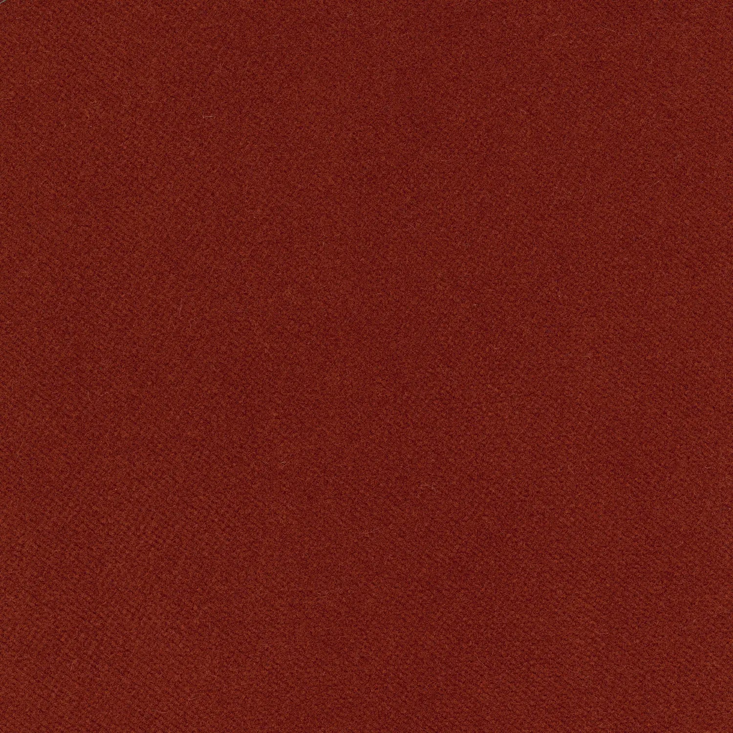 Double Dutch Curtains - Soft Velvet - Cookout