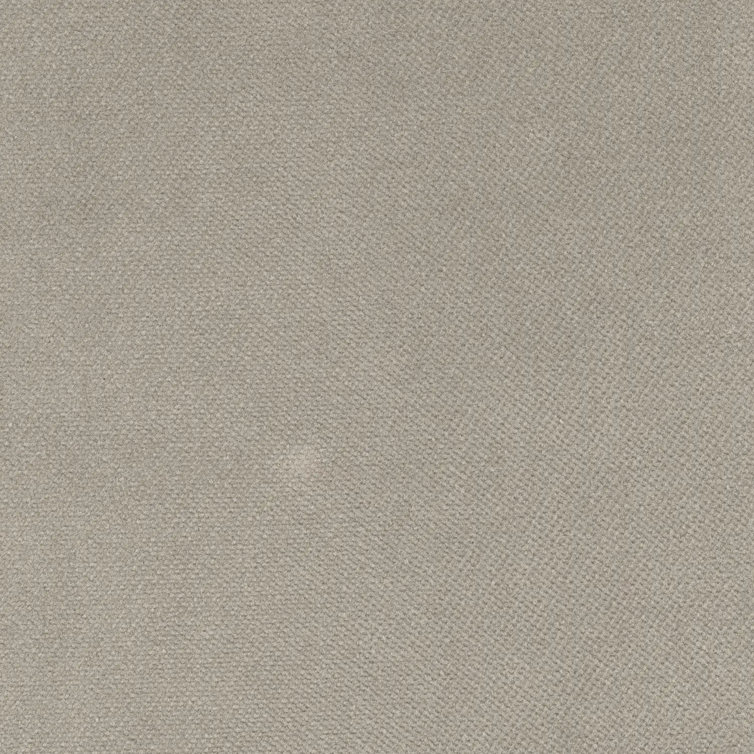 His Nibs Curtains - Soft Velvet - Cornish